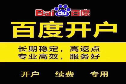百度竞价推广实战：某电商平台的销售增长秘诀